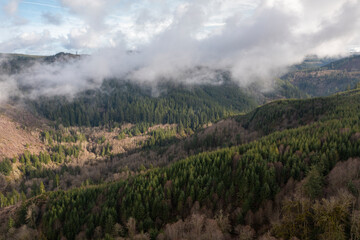 Aerial view of Oregon nature wilderness landscape with low lying fog - 4K Drone