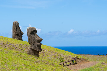 Moai heads on the slope of Rano Raraku on Easter Island (Rapa Nui),  Chile. Raraku is commonly known as the “Moai Factory” with hundreds of abandoned statues scattered around.