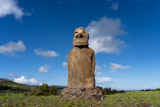 Front view of Moai on the Ahu Huri A Urenga on Easter Island (Rapa Nui), Chile. Ahu Huri a Urenga is a platform with a single moai with two pairs of hands.