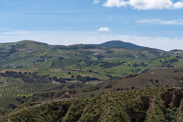 Fototapeta na wymiar mountainous landscape in the south of Granada