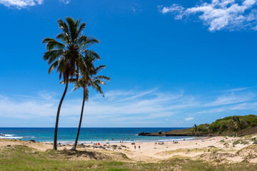 View of the Anakena Beach on Easter Island (Rapa Nui), Chile. Anakena is the biggest sand beach of Rapa Nui located at the north-east side of the island.