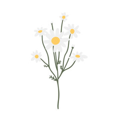 wildflower illustration clipart, vector cottagecore clip art, images in flat cartoon style, daisy, columbine, cosmos, forget me not, lupine, phlox