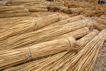 Sultan sazlığı kayseri    Sultan Reedy National Park Kayseri T&uuml;rkey
Sultan Reedy National Park (Sultan Sazligi) and snowy Mount Erciyes, Kayseri, Turkey. Wooden bridge / pier is 1 km long on lake.


