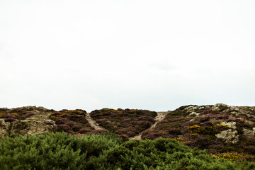 Beautiful view of the sea coast. Howth, Dublin, Ireland.