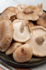 Fresh brown Lentinula edodes or shiitake edible mushrooms from Japan