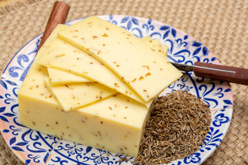 Cheese collection, piece of cow milk Dutch gouda cheese with dried aromatic cumin seeds close up