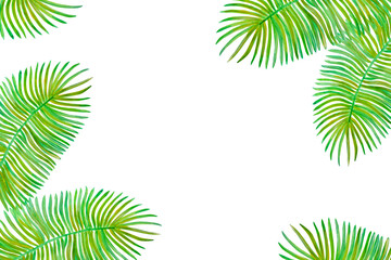 Fototapeta na wymiar frame from green palm leaves isolated on white background.