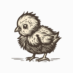 Cute little fluffy chicken. Woodcut engraving style hand drawn vector illustration. Optimized vector. 