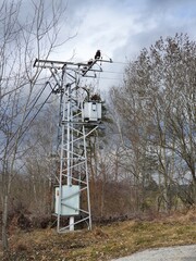 A small transformer for supplying 220 volt electricity to the surrounding rural villages