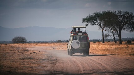 Off-road safari vehicle driving among wild animals in the Serengeti Plain, Tanzania, Africa