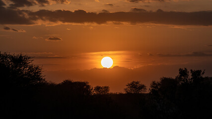 Obraz premium Sunset on the plain of the Serengeti savannah with the silhouette of the baobabs
