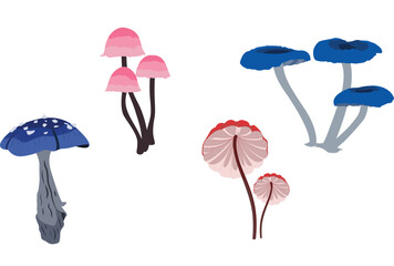 illustration of a set of mushrooms