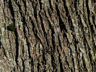 texture