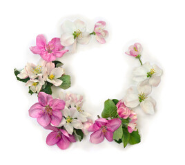 Fototapeta na wymiar Wreath of pink white flowers apple tree on a white background with space for text. Top view, flat lay