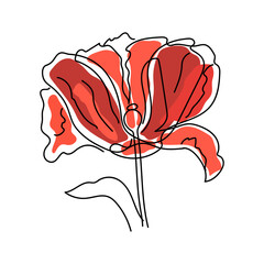 Linear poppy flower with red petals, hand-drawn. Isolated vector illustration. Poppy flower icon, logo, label, tattoo.
