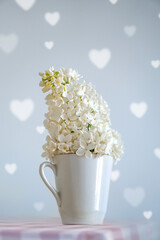 white lilac in a small cup on a blue background with hearts, a pink checkered tablecloth.