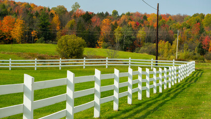 White picket fence in fall foliage Vermont landscape