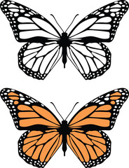 A Monarch butterfly vector illustration in color and silhouette.
