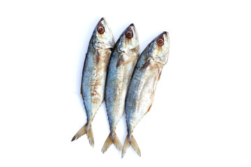Salted fish on white background.