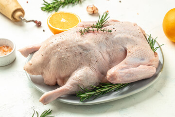 fresh whole raw duck with orange thyme and spices, prepare to cook, banner, menu, recipe place for...