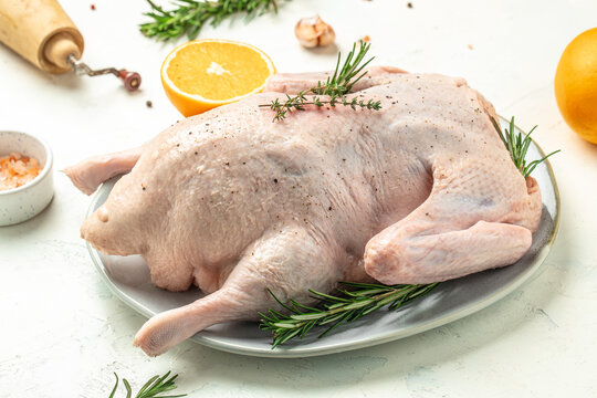 fresh whole raw duck with orange thyme and spices, prepare to cook, banner, menu, recipe place for text, top view