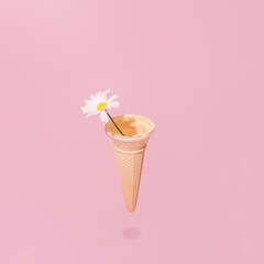 Single daisy flower in an ice cream cone, creative spring concept against pastel pink background.