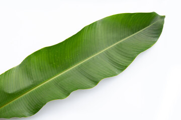 Heliconia leaf on white background.