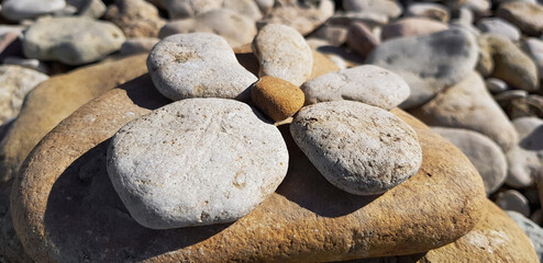 beach, rocks and a made stone flower