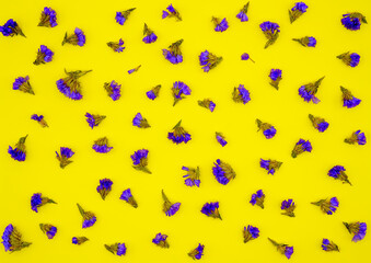 petals of blue wildflowers on a yellow background wallpaper for design
