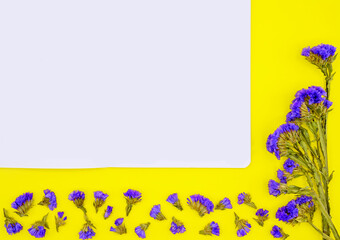 bouquet of blue wildflowers on a yellow background