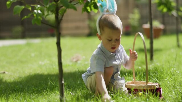 Happy Egg Hunt game outdoors Little kid boy picking up Easter eggs hidden green grass sunny day outdoors. Celebrating Easter holidays children activities. Male child bunny ears put Easter egg basket