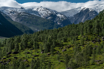 Fototapeta na wymiar Blick zum Gletscher Jostedalsbreen in das Tal langedalen, Norwegen