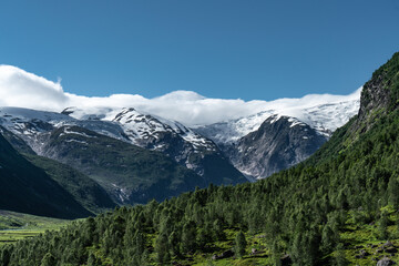 Obraz premium Blick in das tal langedalen zum Gletscher Jostedalsbreen, Norwegen