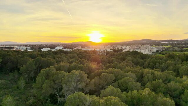 Flying through the forest, sunset in the background, drone footage of Cala Millor