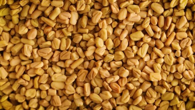 fenugreek seeds background