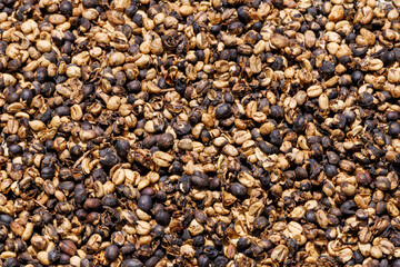 Coffee beans in various stages of roasting at a coffee plantation