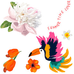 Naklejka premium TROPICAL ISOLATED ELEMENTS PACK BIRDS FLOWERS LEAVES