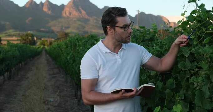 lab analyst takes notes in a notebook near a green vineyard. laboratory technician working with wine in cellar. He is examining quality in his wine cellar. Industry wine making concept.