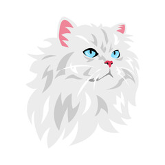 cat face portrait. cute white cat. vector illustration.