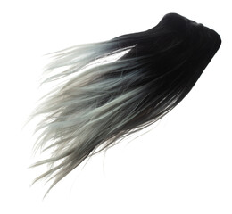 Two tone Wig hair style fly fall explosion. White Black woman wig hair float in mid air. Two tone wig hair extension wind blow cloud throw. White background isolated high speed freeze motion