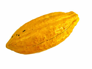 cocoa fruit on a white background