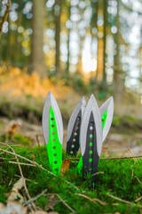 Throwing knives.Throwing projectiles .Green and black metal throwing knives set in green moss on sunny pine forest background.Outdoor sports.Sports equipment.Sport and hobby concept. 