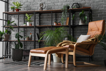 Interior of living room with houseplants, shelving unit and armchair