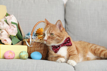 Fototapeta na wymiar Cute cat with Easter eggs, tulips and gift on sofa at home