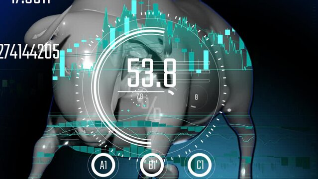 porcelain statue of bull flip rotation loop with hud interface animation and graph trading stock market. Blue background