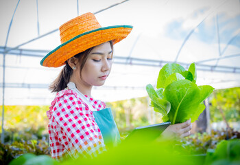 Beautiful asian woman farmer checking vegetables quality by tablet, Modern technology concept.