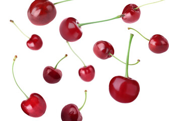 Many fresh cherries falling on white background