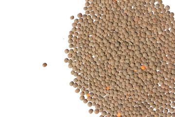 Lentils isolated on white background . bean. soy