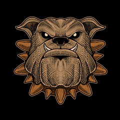 illustration bulldog head on black background