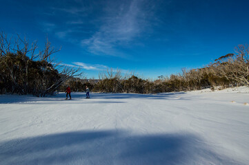 person walking in snow